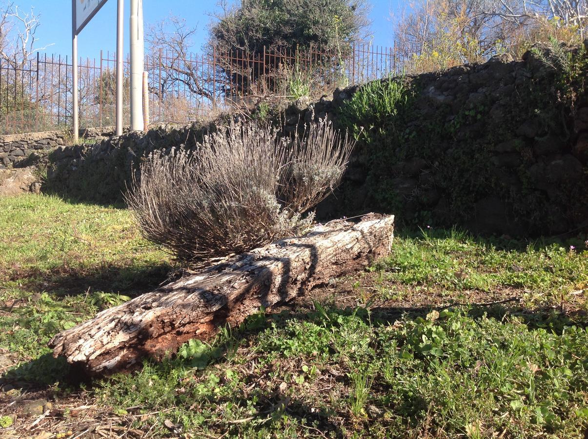 Готель Le Cisterne Dell'Etna Calcerana-Marina Екстер'єр фото